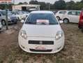 Fiat Grande Punto 1.3 MJT 5P EMOTION Bianco - thumbnail 1