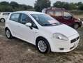 Fiat Grande Punto 1.3 MJT 5P EMOTION Bianco - thumbnail 5
