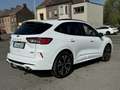 Ford Kuga ST-Line X PHEV AUTO - thumbnail 7