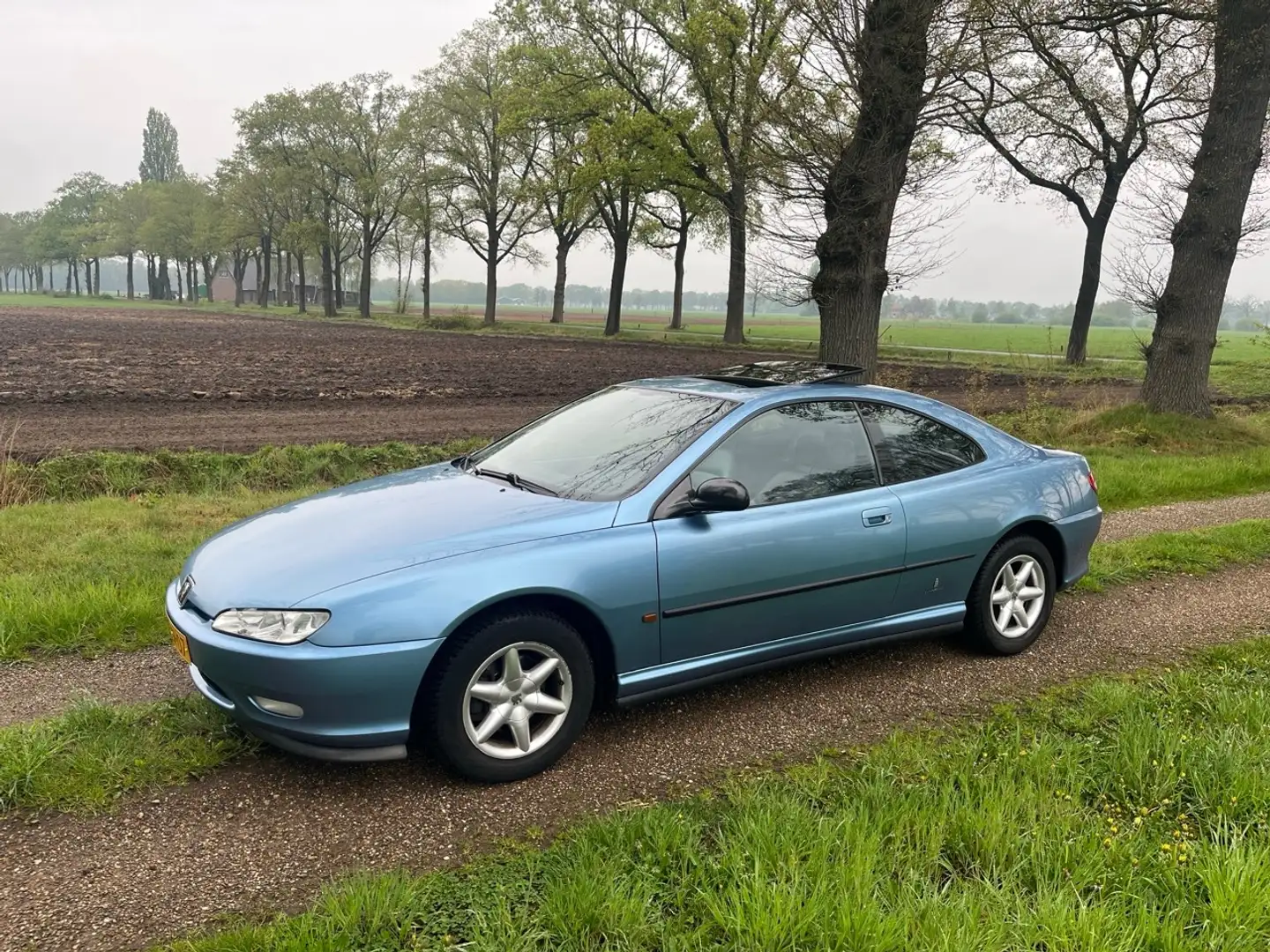 Peugeot 406 406 2.0-16V Blauw - 1