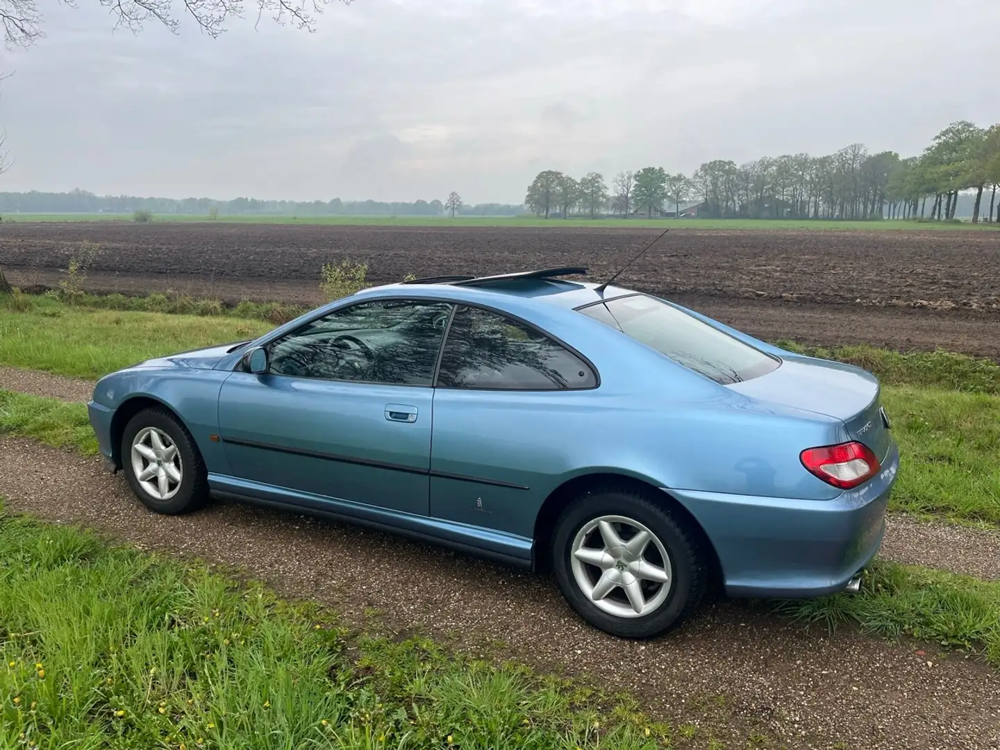 Peugeot 406 406 2.0-16V Blauw - 2