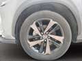 Lexus NX 300 h 2.5 premium 4wd cvt Grigio - thumbnail 7