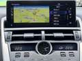 Lexus NX 300h 300h AWD Executive NAV+LED+SHZ+KAMERA+1HD+PP Weiß - thumbnail 16