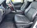Lexus NX 300h 300h AWD Executive NAV+LED+SHZ+KAMERA+1HD+PP Weiß - thumbnail 11