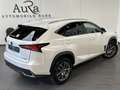Lexus NX 300h 300h AWD Executive NAV+LED+SHZ+KAMERA+1HD+PP Weiß - thumbnail 5