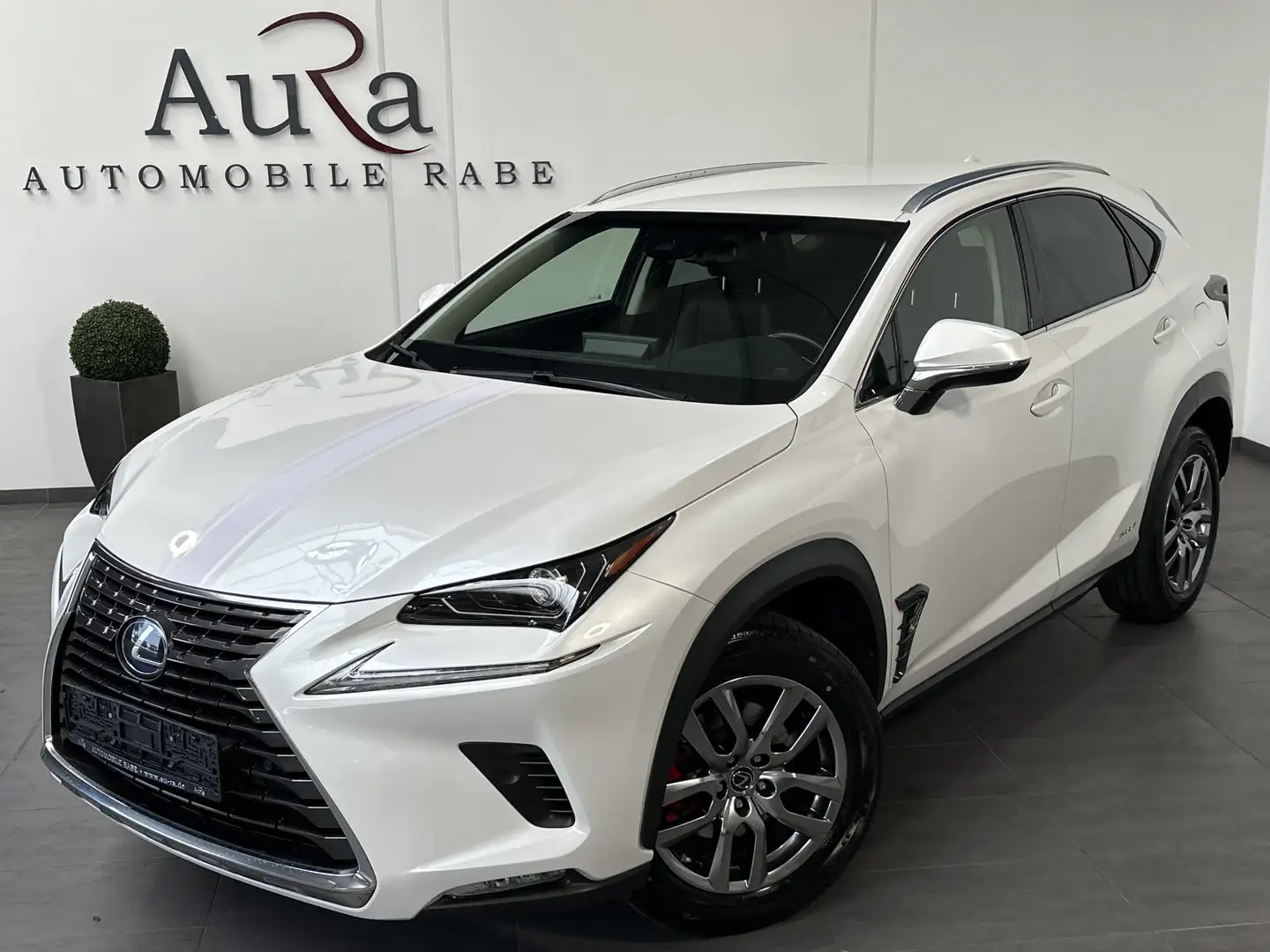 Lexus NX 300h 300h AWD Executive NAV+LED+SHZ+KAMERA+1HD+PP Weiß - 2