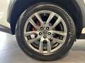 Lexus NX 300h 300h AWD Executive NAV+LED+SHZ+KAMERA+1HD+PP Weiß - thumbnail 3