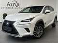 Lexus NX 300h 300h AWD Executive NAV+LED+SHZ+KAMERA+1HD+PP Weiß - thumbnail 1