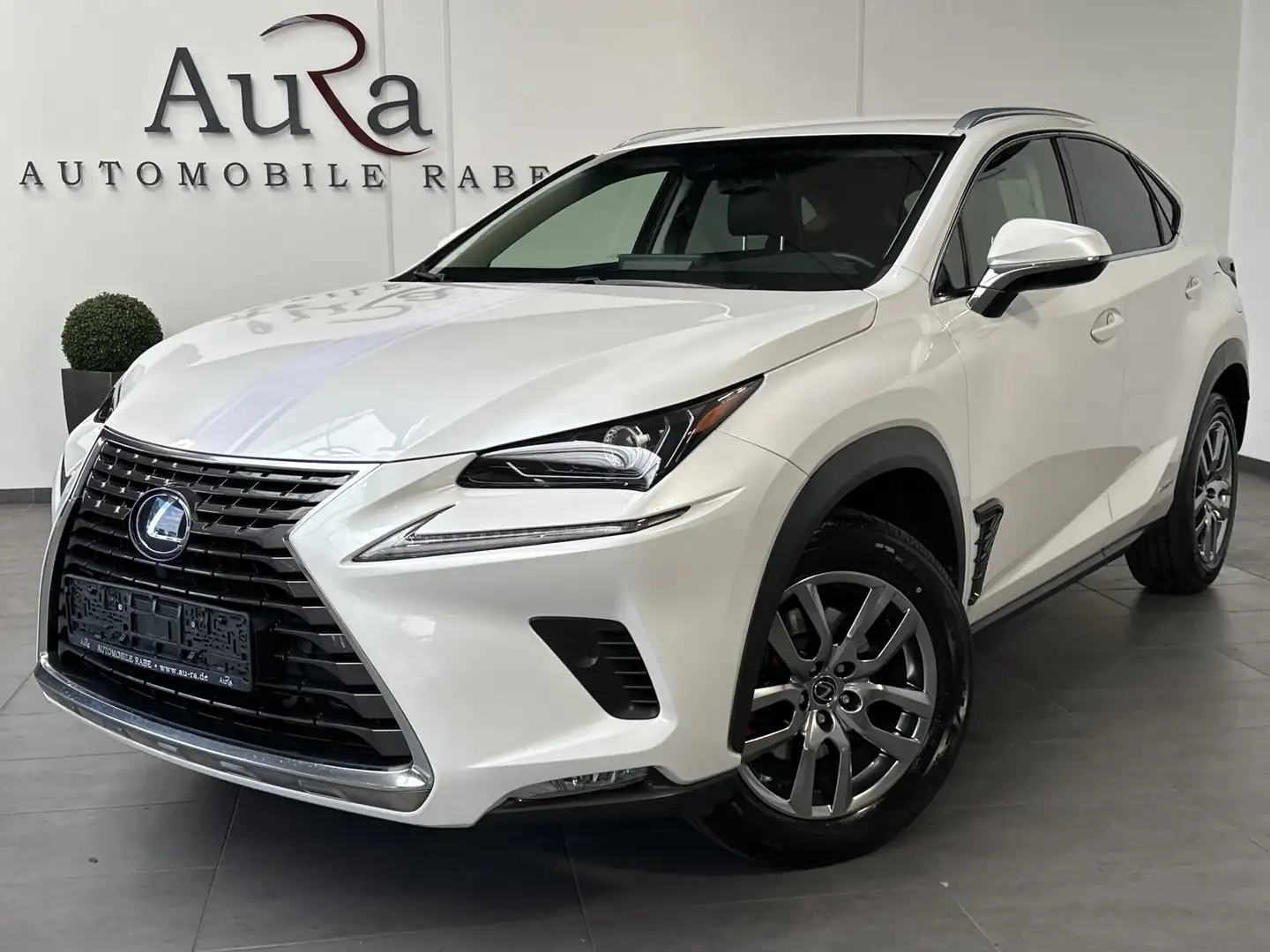 Lexus NX 300h 300h AWD Executive NAV+LED+SHZ+KAMERA+1HD+PP Weiß - 1