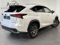 Lexus NX 300h 300h AWD Executive NAV+LED+SHZ+KAMERA+1HD+PP Weiß - thumbnail 4