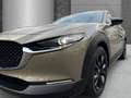 Mazda CX-30 2,5i 140PS Auto. Homura HUD LED ACC El. Heckklappe Grün - thumbnail 4