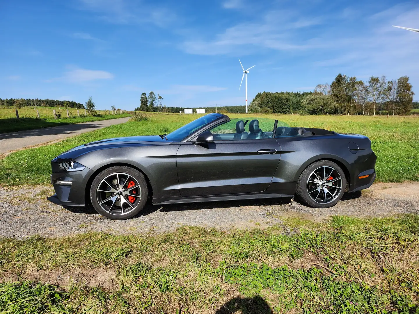 Ford Mustang Mustang Convertible 2.3 EcoBoost (EU6.2) Grijs - 1