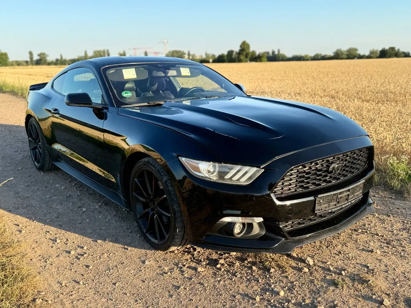 Ford Mustang 2.3 EcoBoost *Aut. *Leder *Sternhimmel Noir - 1