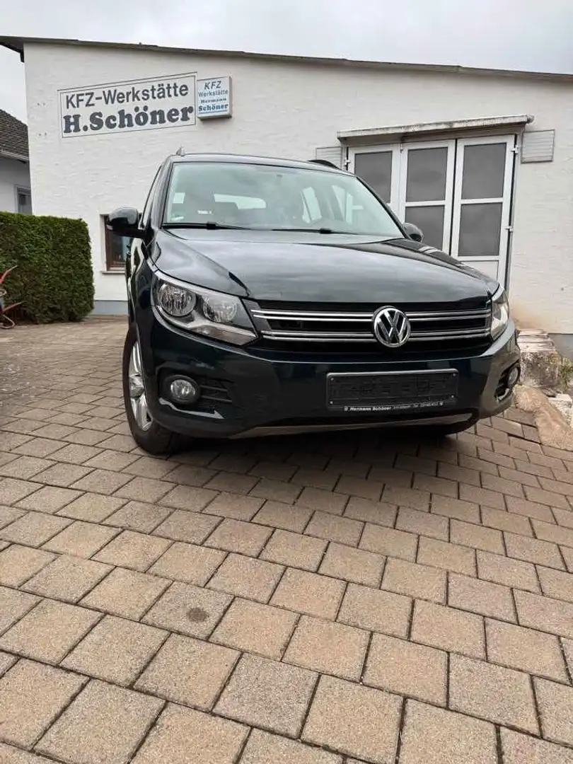 Volkswagen Tiguan Track & Field 4x4 Sitzheizung AHK Grün - 2