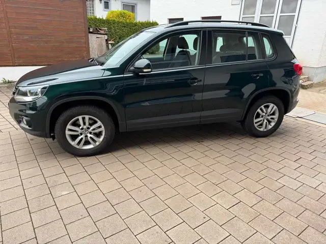 Volkswagen Tiguan Track & Field 4x4 SH AHK Steuerkette neu