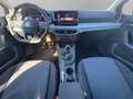 SEAT Ibiza Style Edition 1.0 TSI +SHZ+GRA+FUllLink Grau - thumbnail 13
