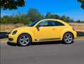 Volkswagen Beetle The Beetle 1.4 TSI DSG Sport Gelb - thumbnail 2