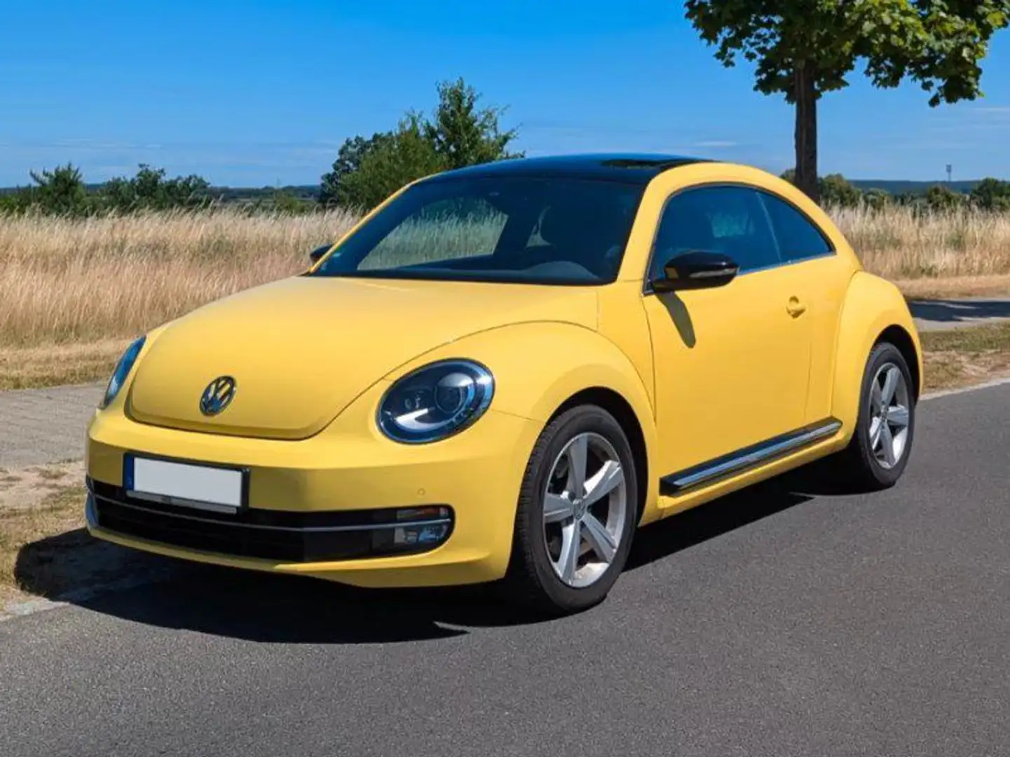 Volkswagen Beetle The Beetle 1.4 TSI DSG Sport Gelb - 1