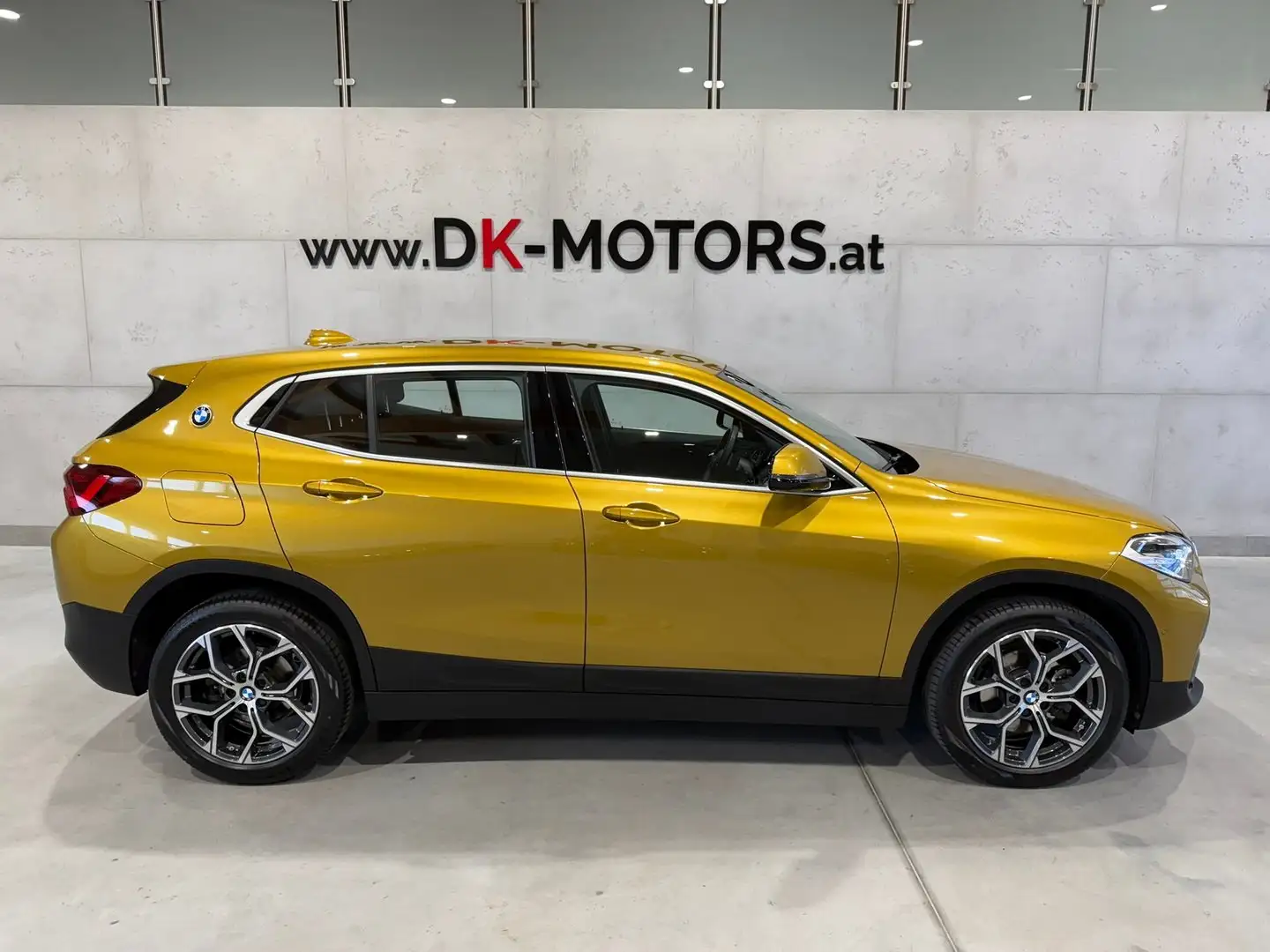 BMW X2 xDrive 18 d Advantage Plus /RFK/LED/Navi/AHK/DAB/ Gold - 1