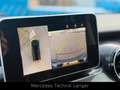Mercedes-Benz 220 V220d/Marco Polo/EDITION/LANG/360°/KÜCHE Schwarz - thumbnail 8