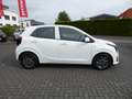 Kia Picanto 1.0 Vision | NAVI | ALU Bianco - thumbnail 4