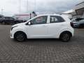 Kia Picanto 1.0 Vision | NAVI | ALU Weiß - thumbnail 6