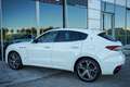Maserati Levante 350 GranSport Aut. Wit - thumbnail 5