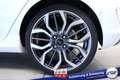 Ford Fiesta ST-Line Vignale #ACC #Winter-P. #Panorama #Park... Blanco - thumbnail 29
