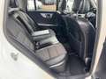 Mercedes-Benz GLK 320 CDI 4Matic Edition 1 Weiß - thumbnail 14
