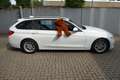 BMW 318 i Touring Advantage 1.Hand Weiß - thumbnail 9