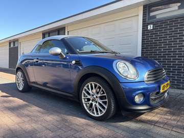1.6 Cooper Pepper