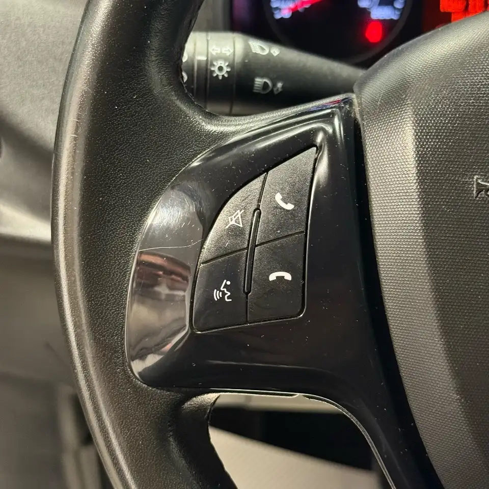 RAM Promaster снимка RAM Promaster