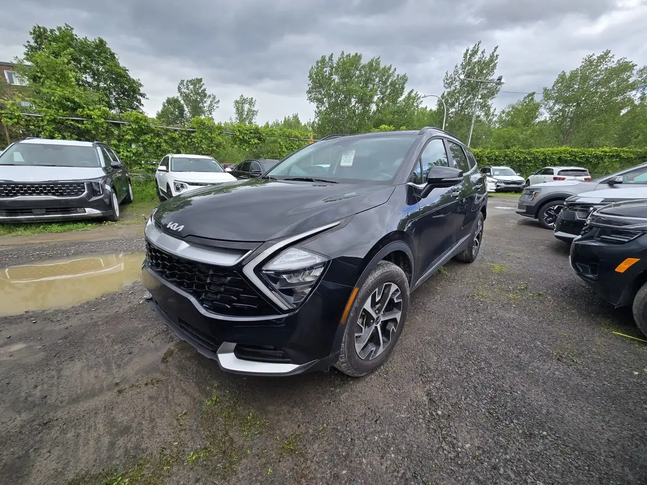 2023 Kia Sportage