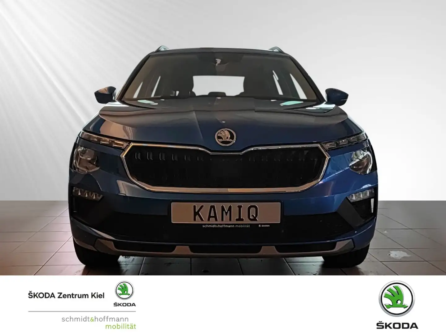 Skoda Kamiq Selection Navi Einparkhilfe Fenster el. Blau - 2