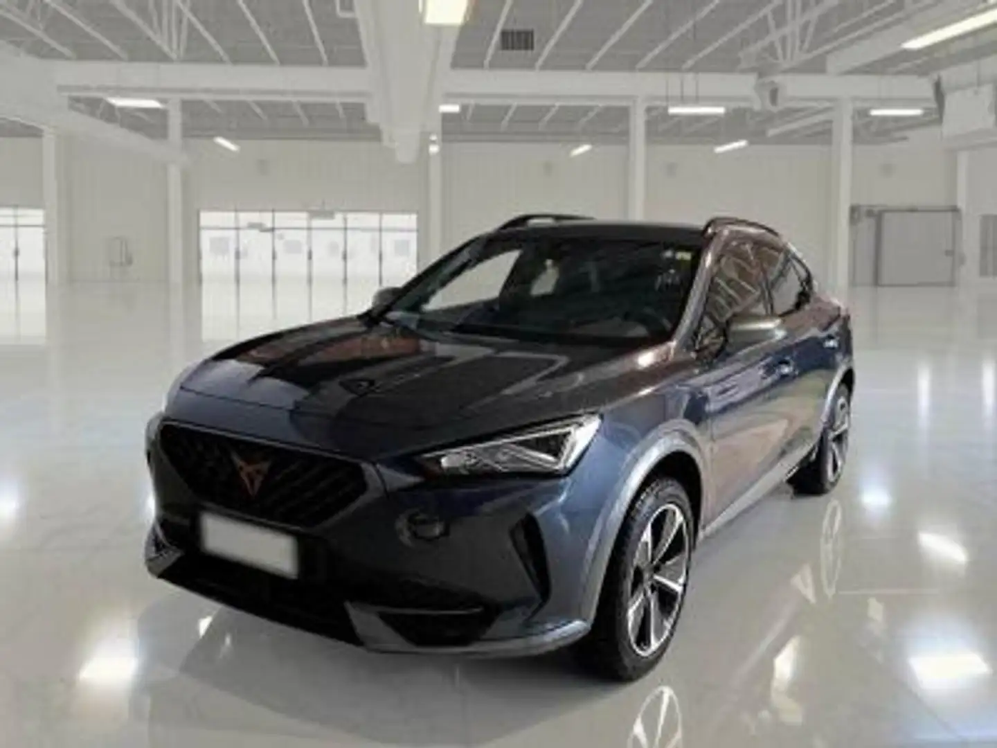 CUPRA Formentor 1.5 tsi 150cv dsg Blu/Azzurro - 1