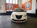Lancia Ypsilon Ypsilon 1.2 8v Elefantino 69cv my14 - thumbnail 2