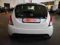 Lancia Ypsilon Ypsilon 1.2 8v Elefantino 69cv my14 - thumbnail 7