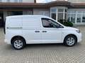 Volkswagen Caddy Cargo DSG AppConnect Sitzhzg PDC 27%UPE38 Weiß - thumbnail 4