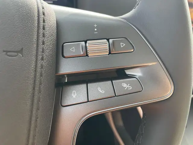 Byd Atto 2 view 10