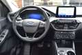 Ford Kuga Hybrid**Titanium**Gojoedition** - thumbnail 15