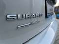 Subaru XV 1.6i EDITION Comfort Plus Lineatronic LED 4WD Blanco - thumbnail 24