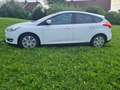 Ford Focus Focus 1.0 EcoBoost Start-Stopp-System COOL Weiß - thumbnail 11