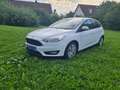 Ford Focus Focus 1.0 EcoBoost Start-Stopp-System COOL Weiß - thumbnail 1