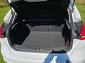 Ford Focus Focus 1.0 EcoBoost Start-Stopp-System COOL Weiß - thumbnail 4