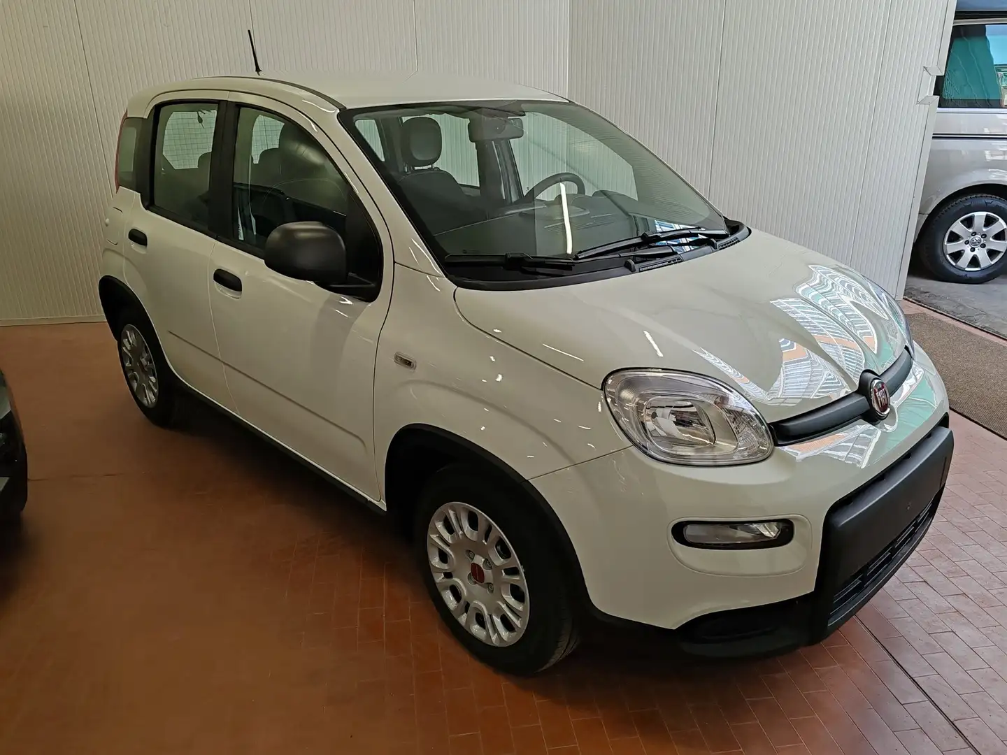 Fiat Panda 1.0 Hybrid 70cv Radio Bluetooth 36 Rate da 177,95 Bianco - 1