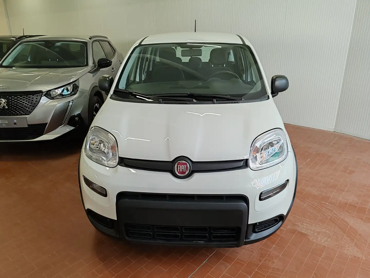 Fiat Panda 1.0 Hybrid 70cv Radio Bluetooth 36 Rate da 177,95 Bianco - 2