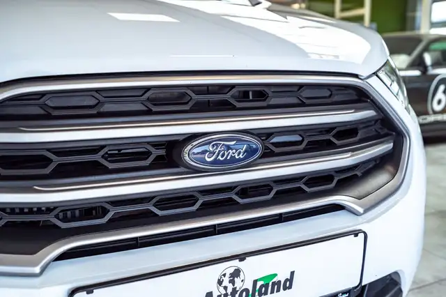 Ford Ecosport view 9