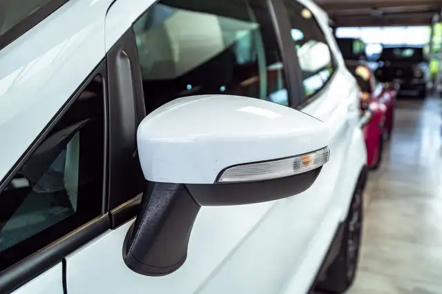Ford Ecosport view 12