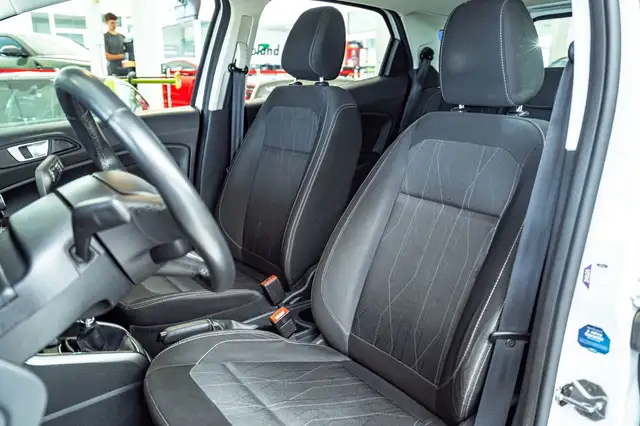 Ford Ecosport view 15