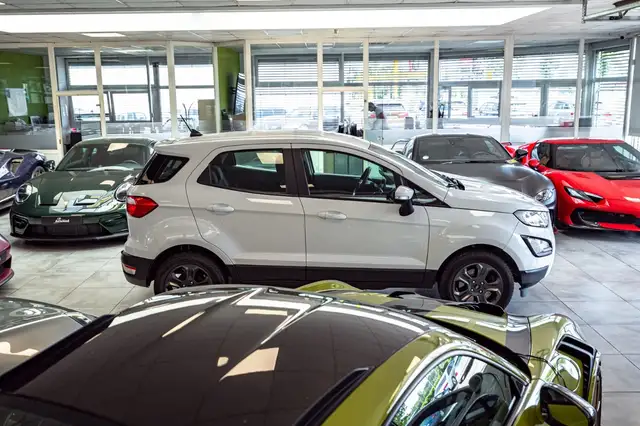 Ford Ecosport view 8